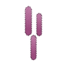 Conect L&C